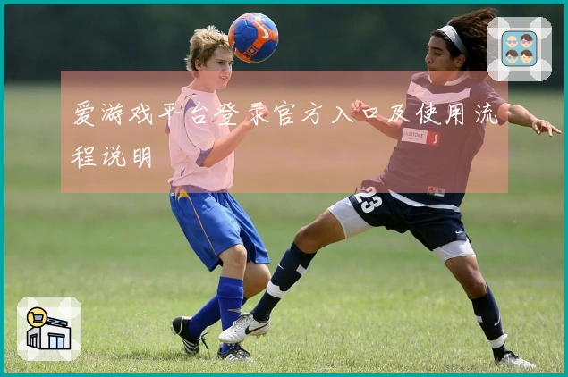 爱游戏平台登录官方入口及使用流程说明