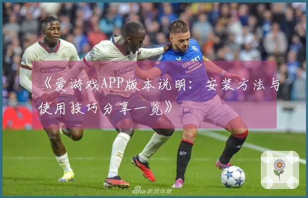 《爱游戏APP版本说明：安装方法与使用技巧分享一览》
